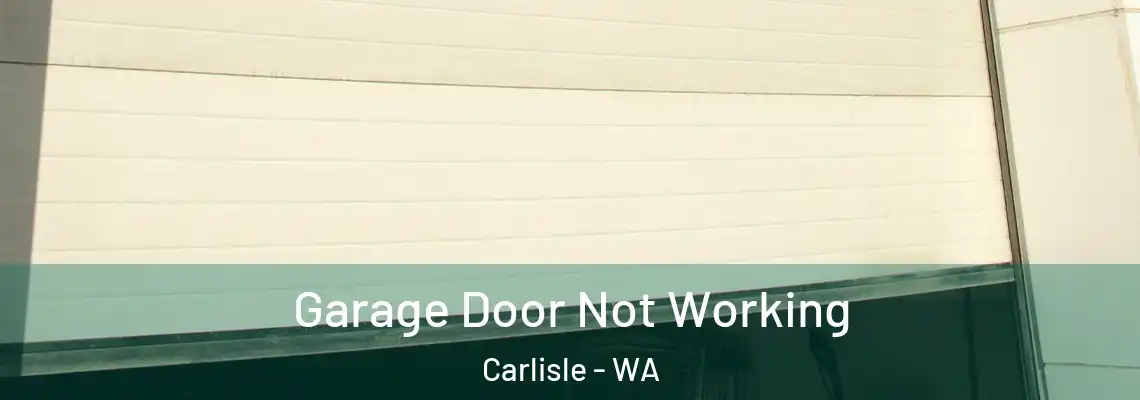 Garage Door Not Working Carlisle - WA
