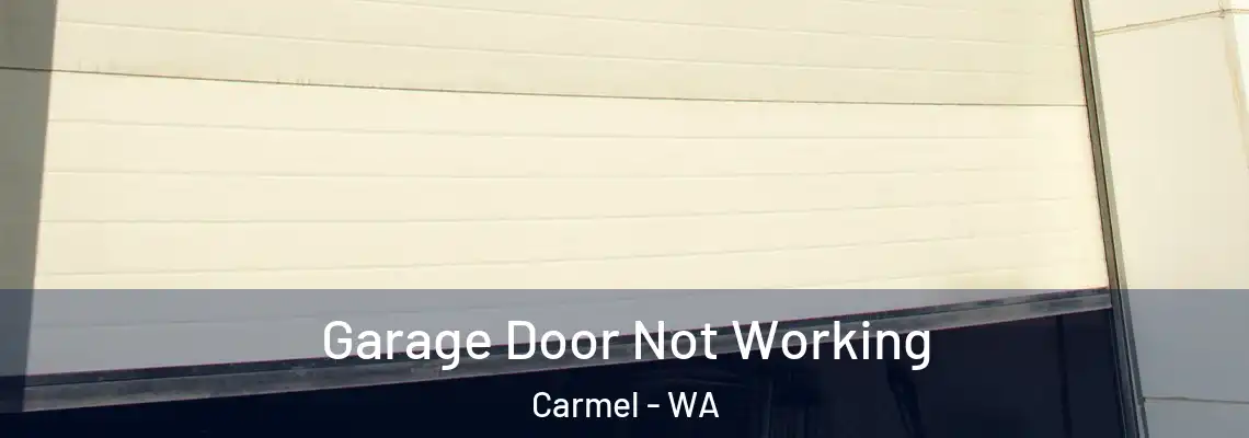 Garage Door Not Working Carmel - WA