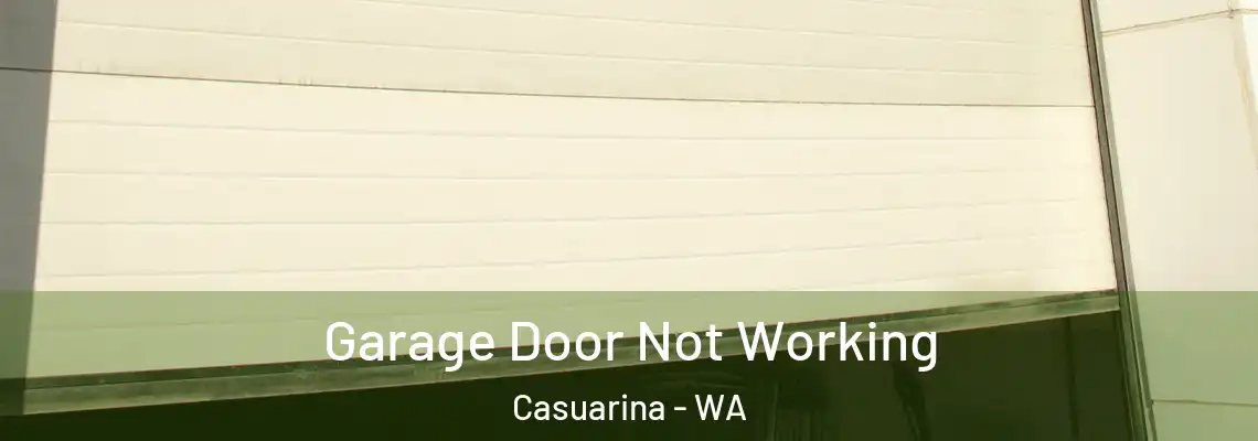 Garage Door Not Working Casuarina - WA