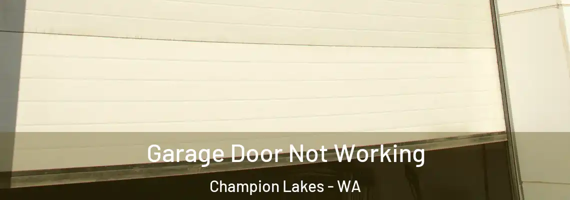 Garage Door Not Working Champion Lakes - WA