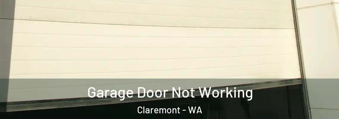 Garage Door Not Working Claremont - WA