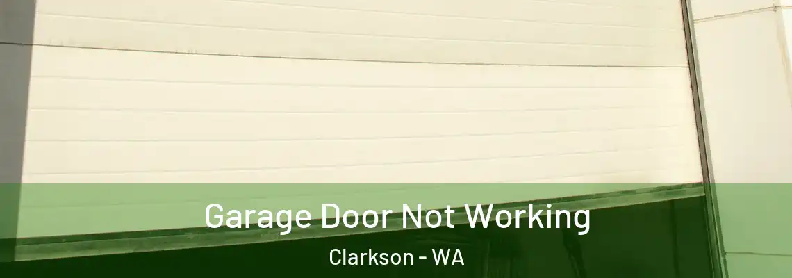 Garage Door Not Working Clarkson - WA