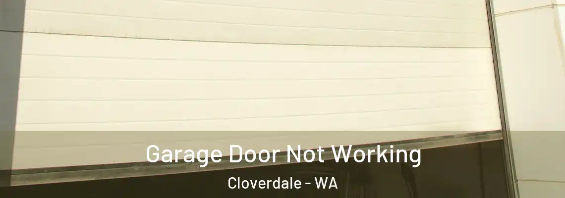 Garage Door Not Working Cloverdale - WA
