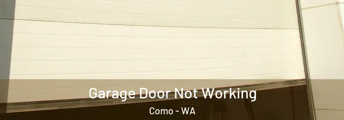 Garage Door Not Working Como - WA