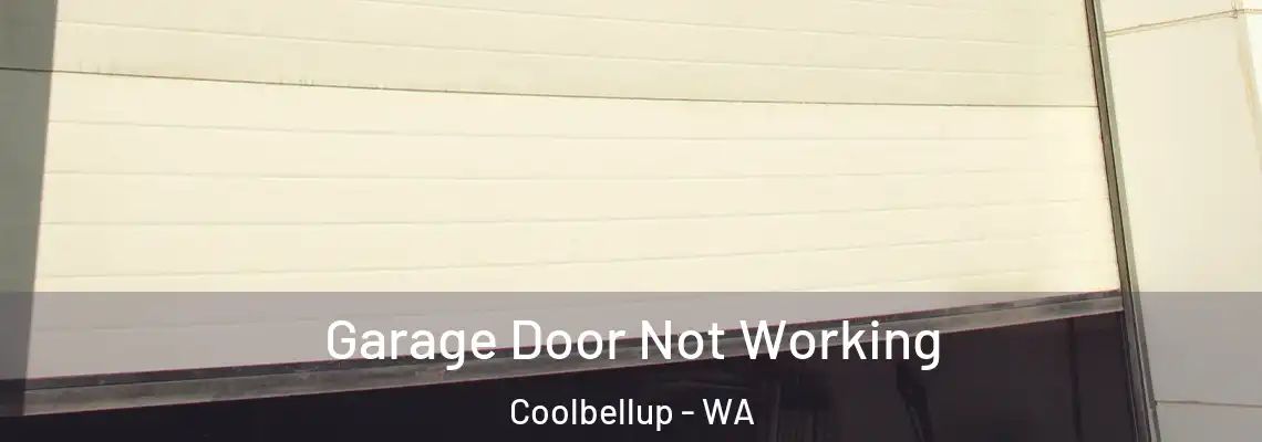 Garage Door Not Working Coolbellup - WA