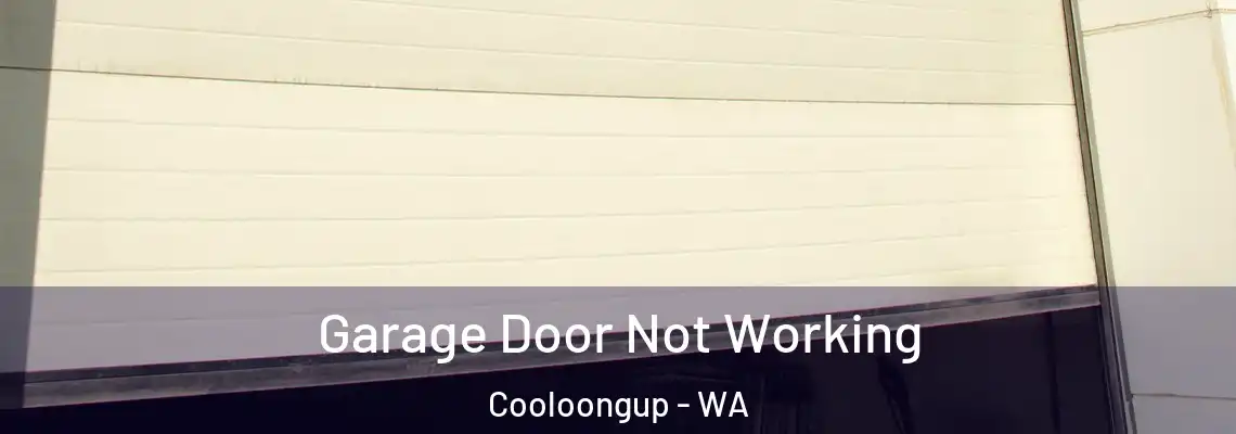 Garage Door Not Working Cooloongup - WA