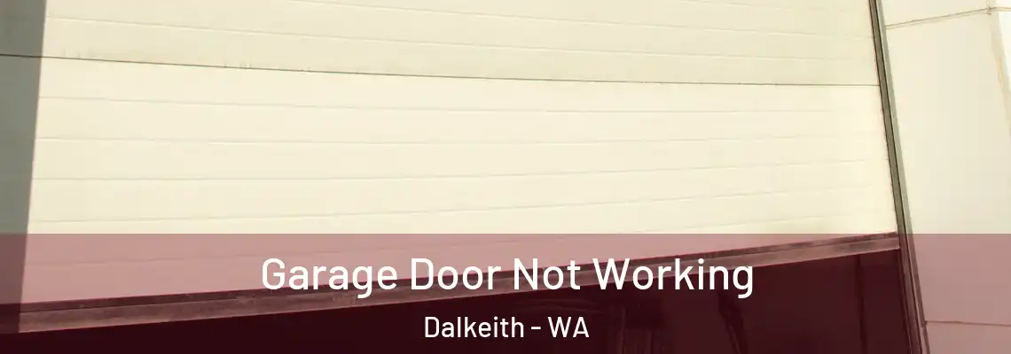 Garage Door Not Working Dalkeith - WA