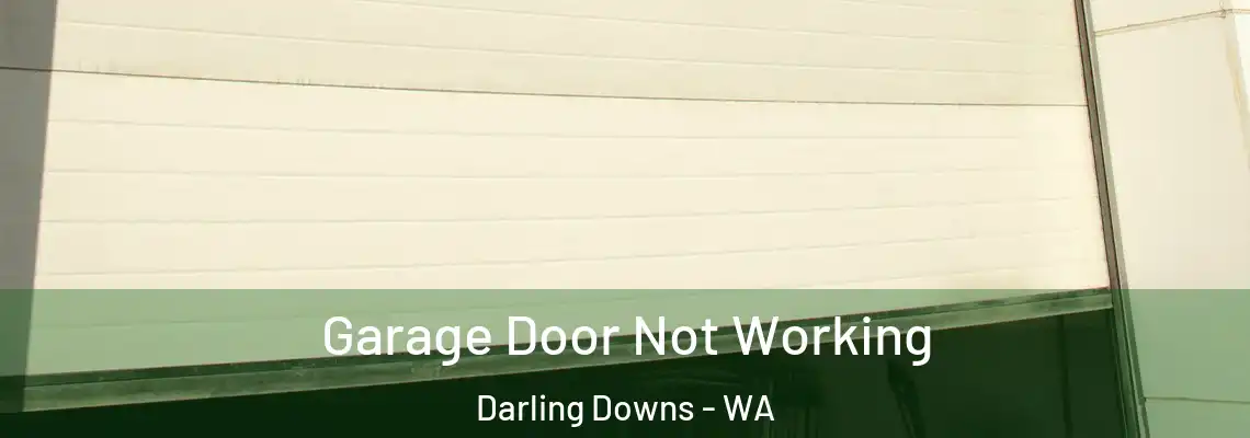 Garage Door Not Working Darling Downs - WA