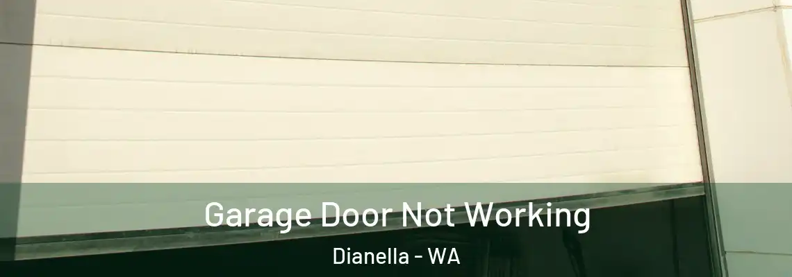 Garage Door Not Working Dianella - WA