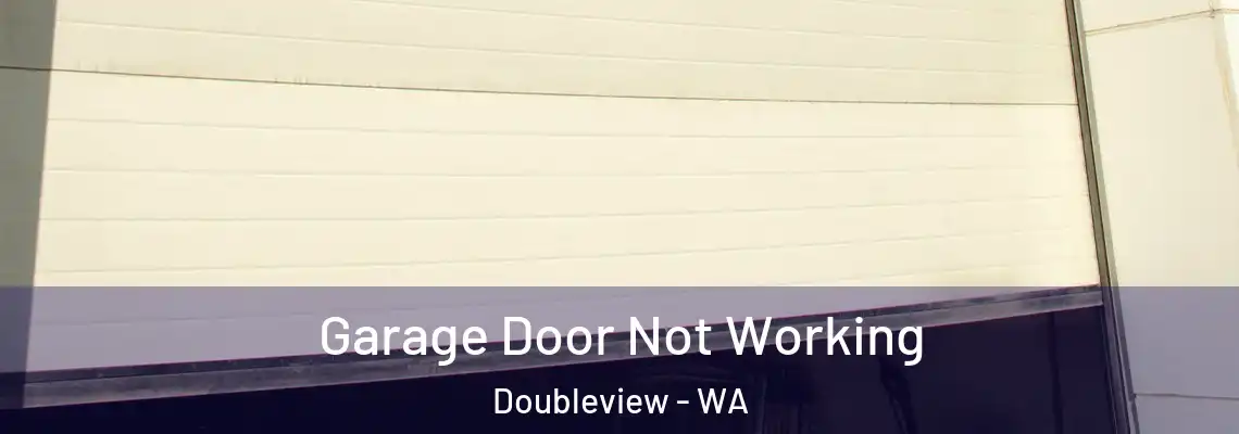 Garage Door Not Working Doubleview - WA