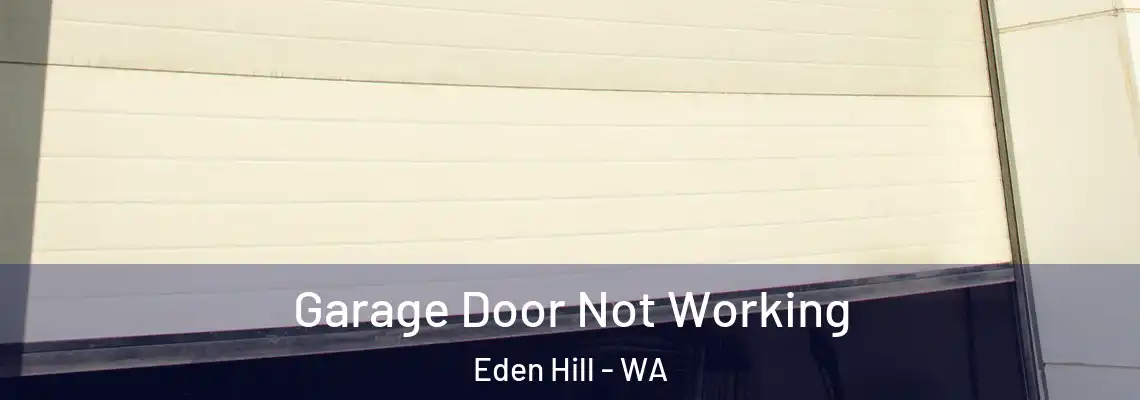 Garage Door Not Working Eden Hill - WA