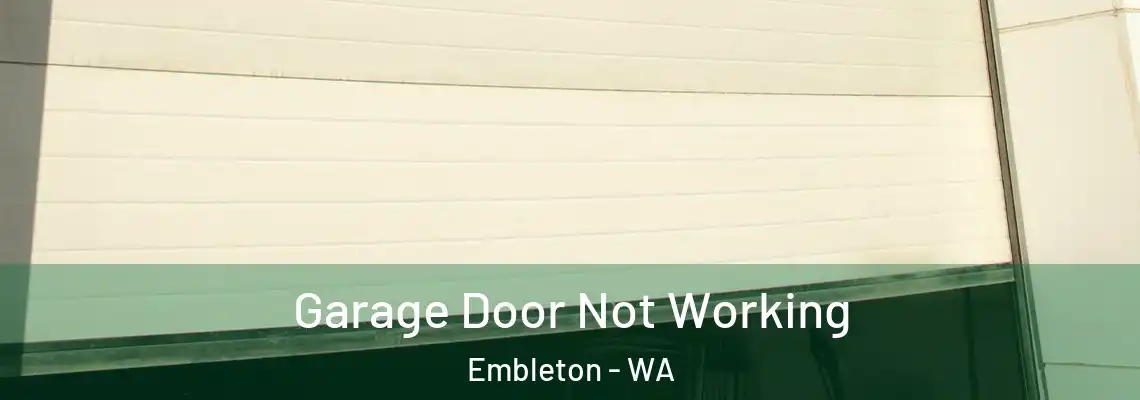 Garage Door Not Working Embleton - WA