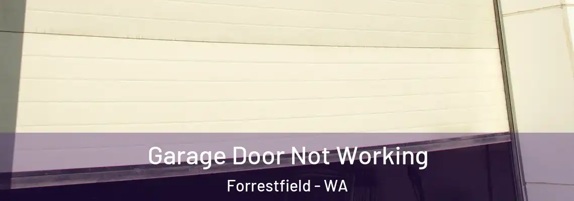 Garage Door Not Working Forrestfield - WA