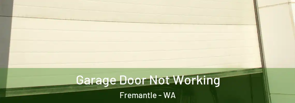 Garage Door Not Working Fremantle - WA