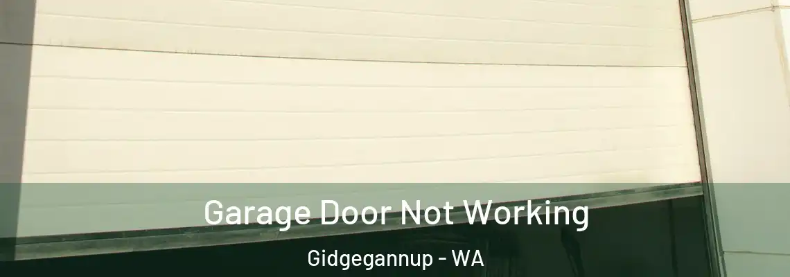 Garage Door Not Working Gidgegannup - WA