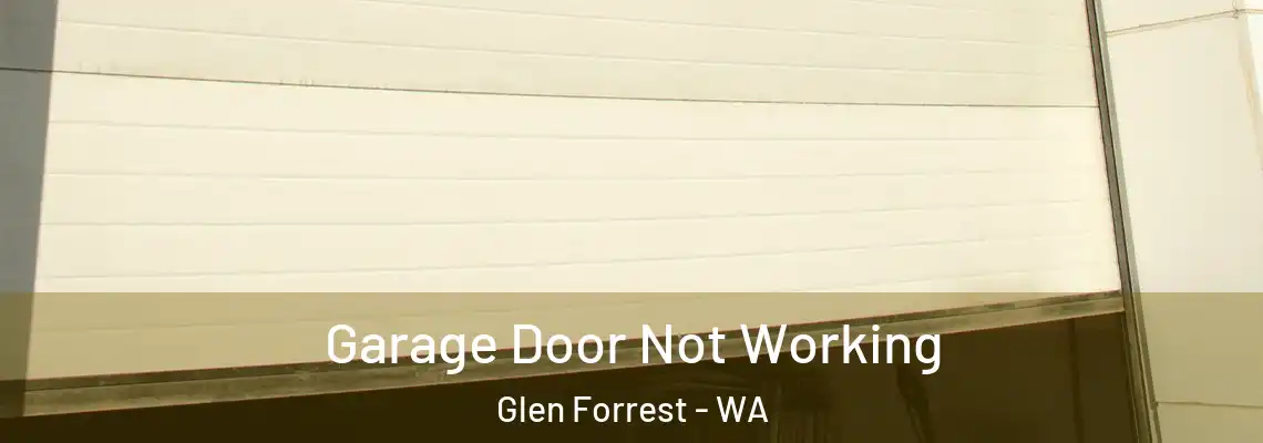 Garage Door Not Working Glen Forrest - WA