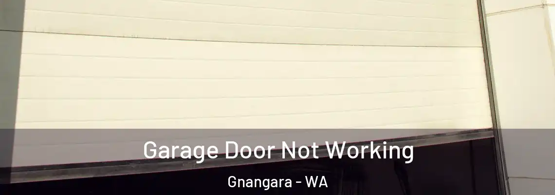 Garage Door Not Working Gnangara - WA