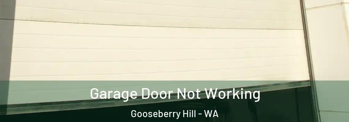 Garage Door Not Working Gooseberry Hill - WA