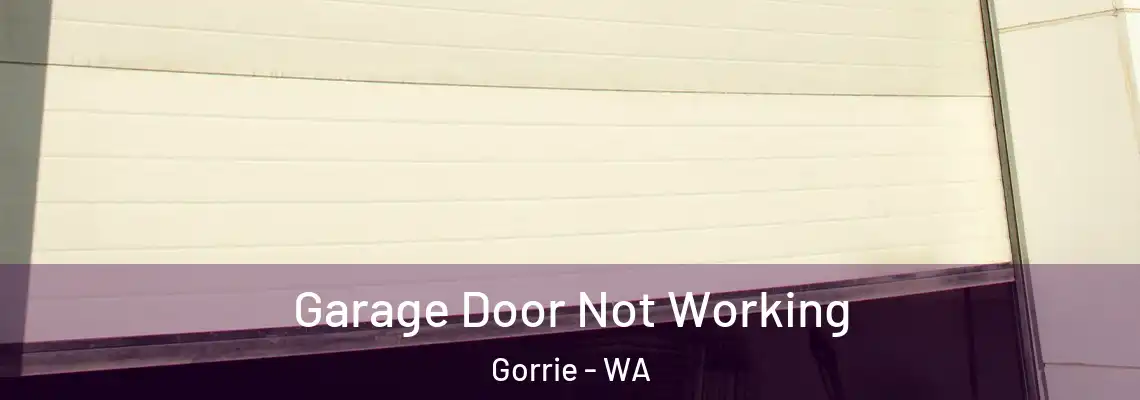 Garage Door Not Working Gorrie - WA