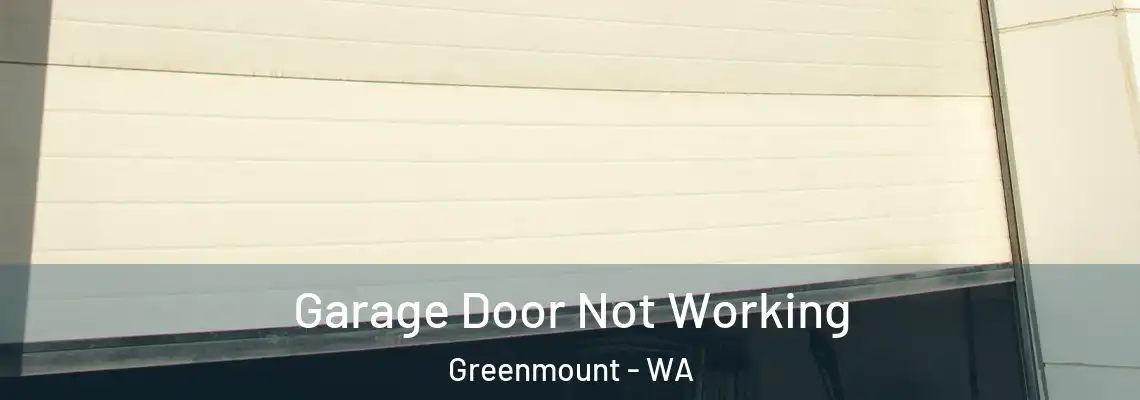 Garage Door Not Working Greenmount - WA