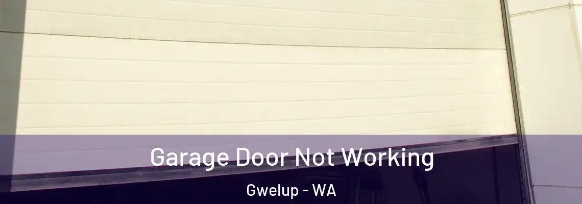 Garage Door Not Working Gwelup - WA