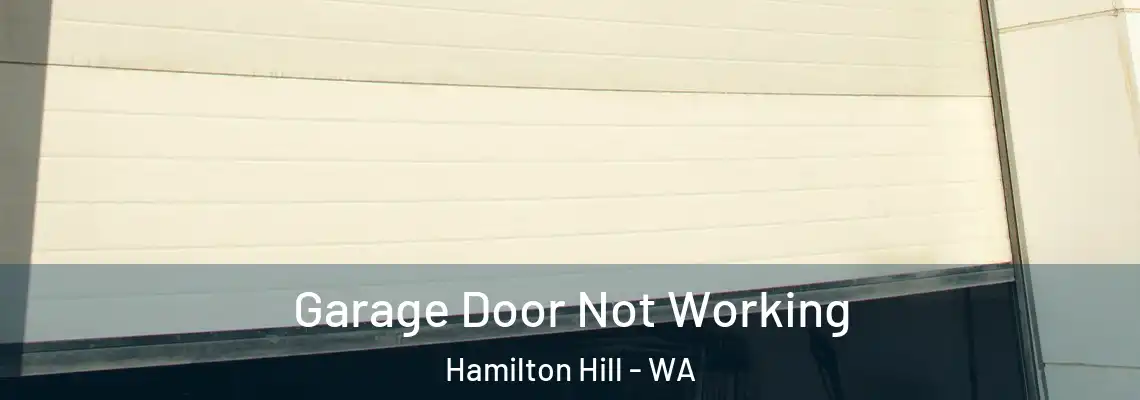  Garage Door Not Working Hamilton Hill - WA