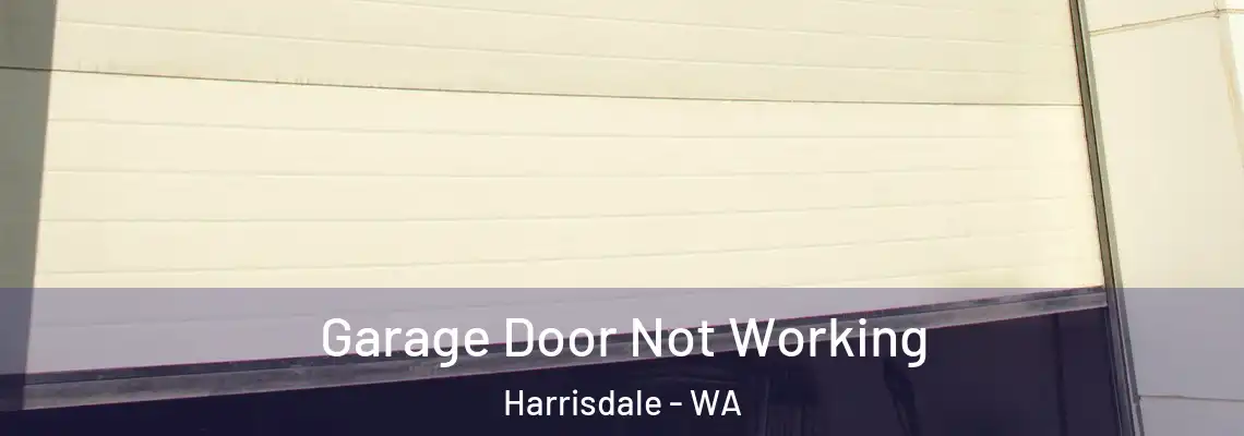 Garage Door Not Working Harrisdale - WA
