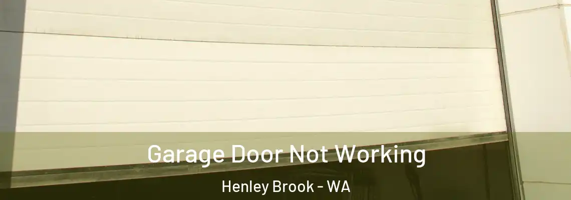 Garage Door Not Working Henley Brook - WA