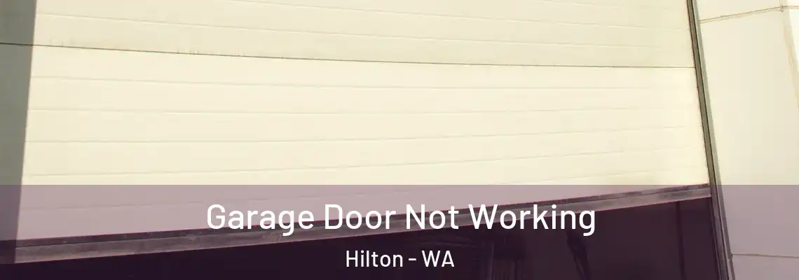 Garage Door Not Working Hilton - WA