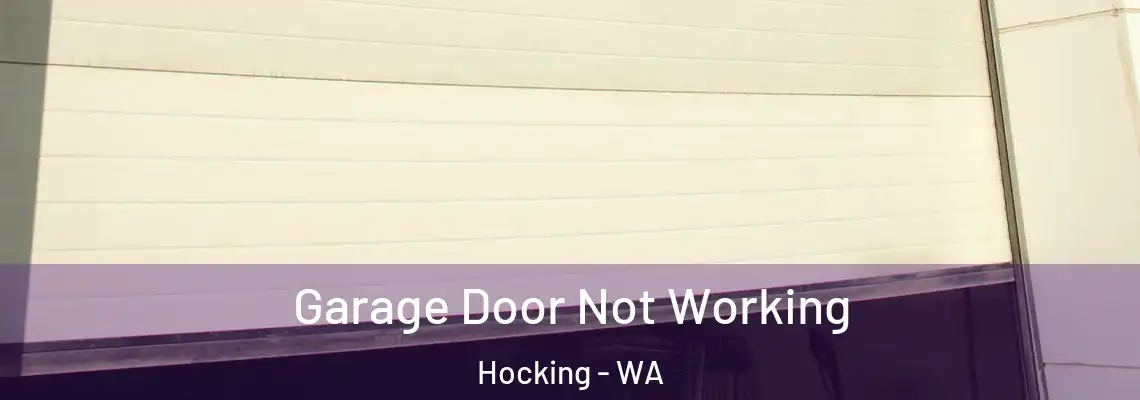 Garage Door Not Working Hocking - WA