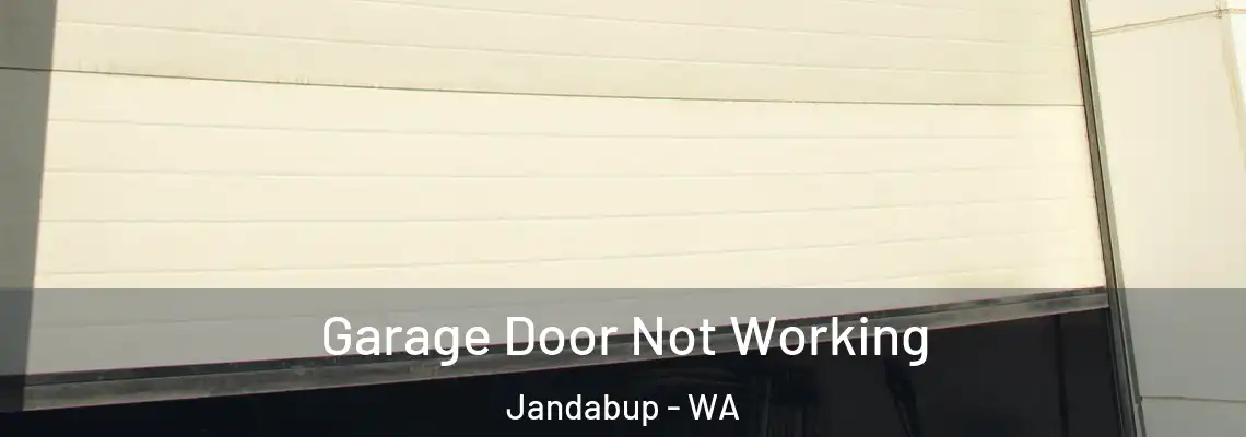 Garage Door Not Working Jandabup - WA