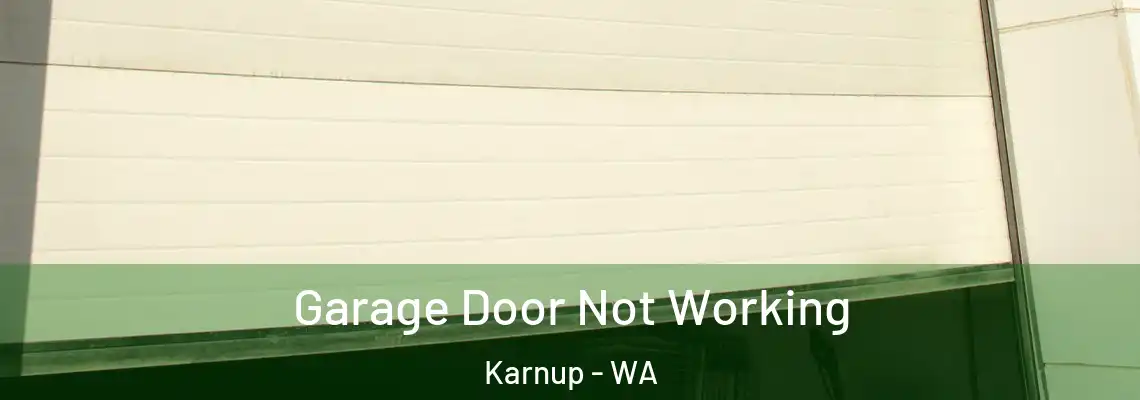  Garage Door Not Working Karnup - WA