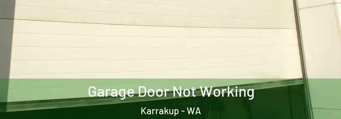 Garage Door Not Working Karrakup - WA