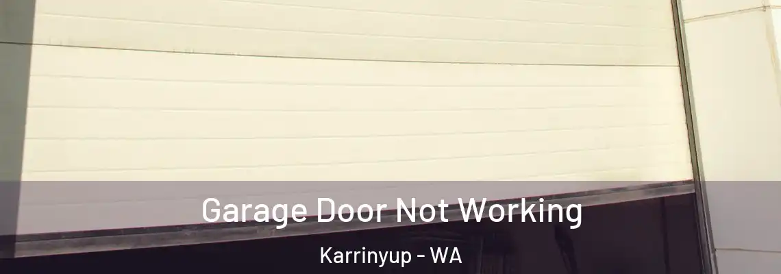 Garage Door Not Working Karrinyup - WA