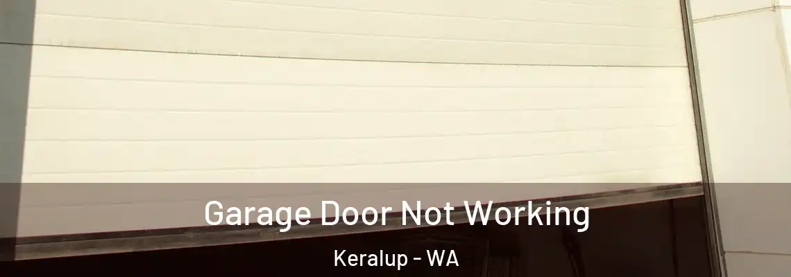 Garage Door Not Working Keralup - WA