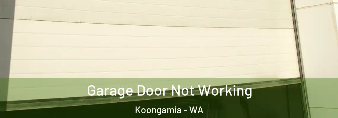 Garage Door Not Working Koongamia - WA
