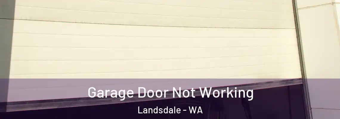 Garage Door Not Working Landsdale - WA
