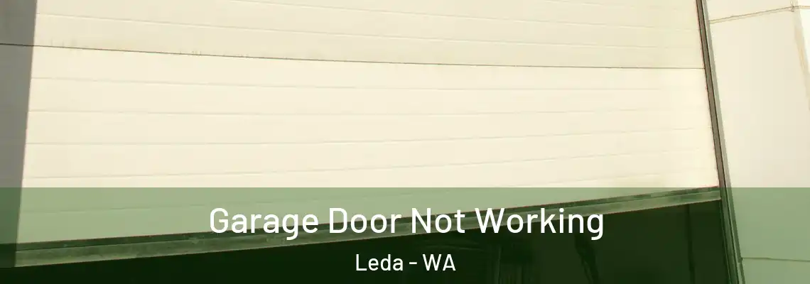 Garage Door Not Working Leda - WA