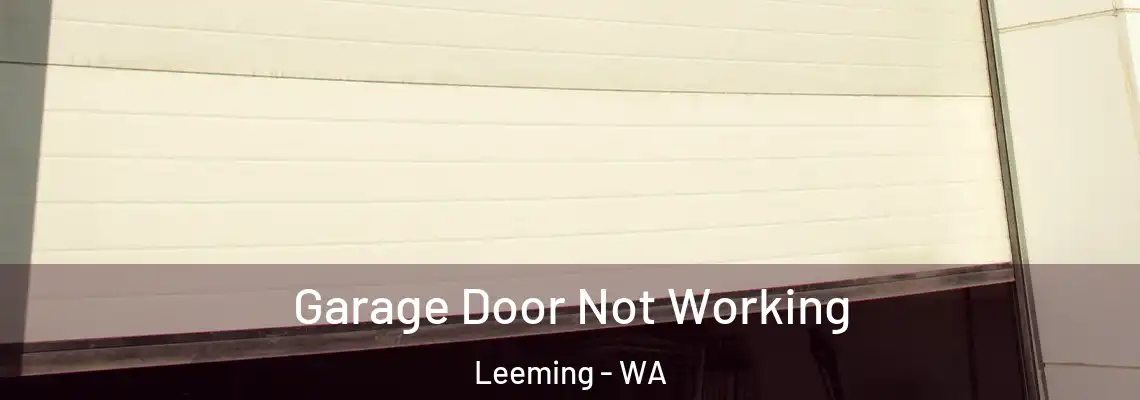 Garage Door Not Working Leeming - WA