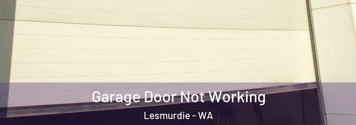 Garage Door Not Working Lesmurdie - WA