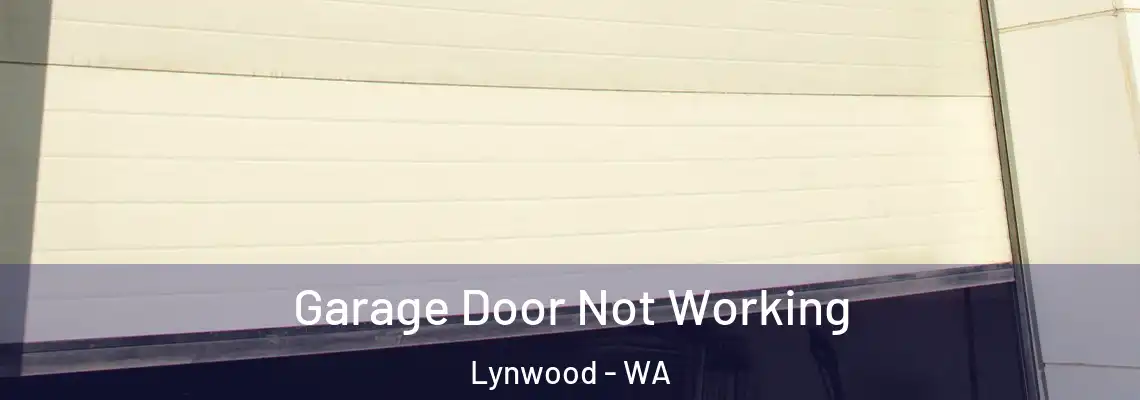 Garage Door Not Working Lynwood - WA