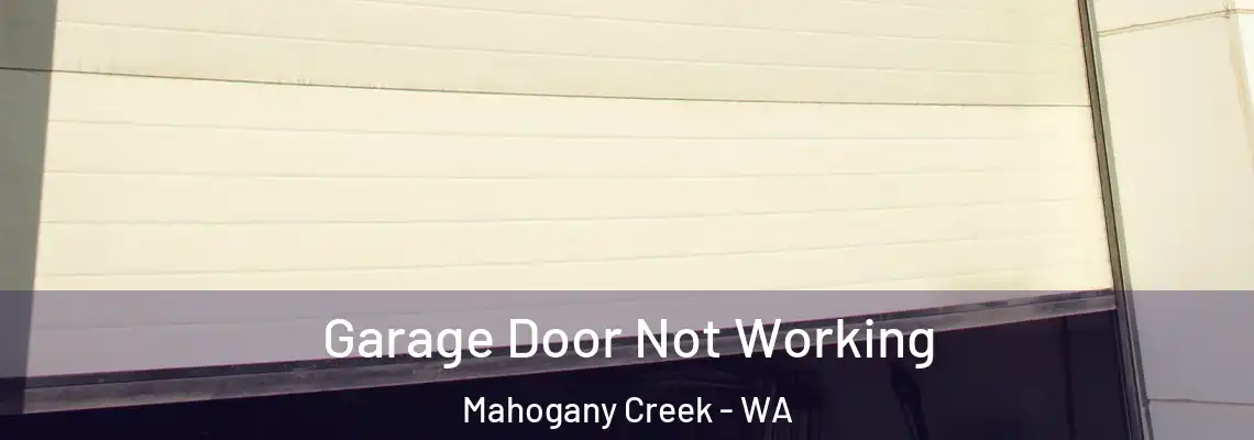 Garage Door Not Working Mahogany Creek - WA