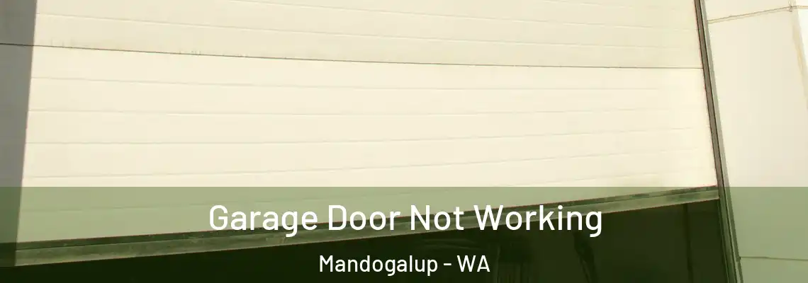 Garage Door Not Working Mandogalup - WA