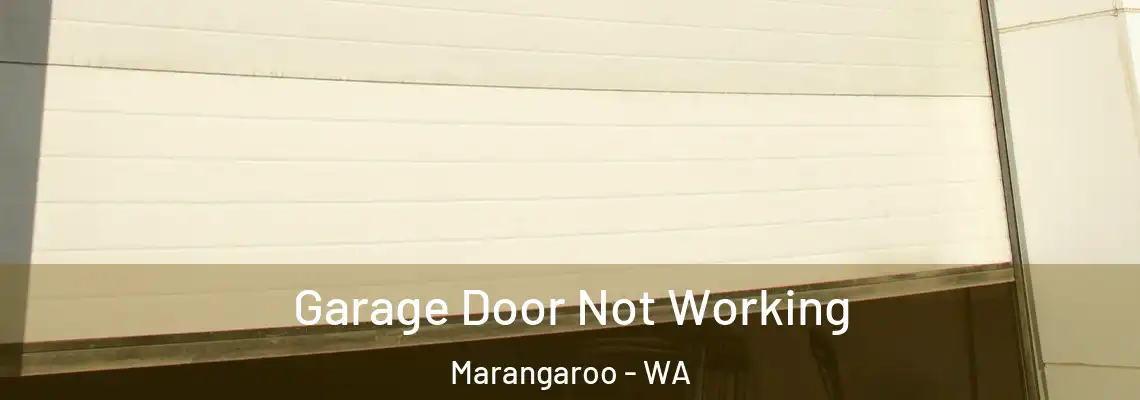 Garage Door Not Working Marangaroo - WA