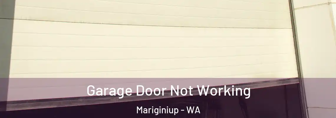 Garage Door Not Working Mariginiup - WA