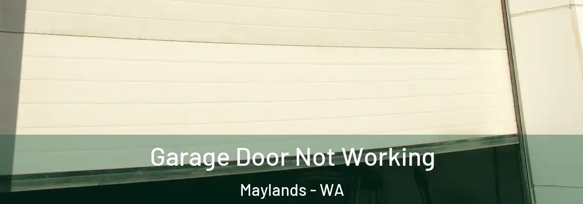 Garage Door Not Working Maylands - WA