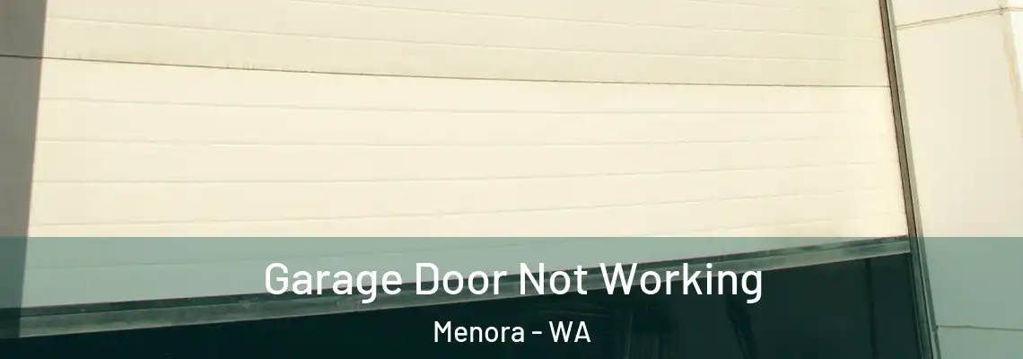 Garage Door Not Working Menora - WA