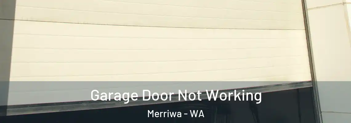  Garage Door Not Working Merriwa - WA