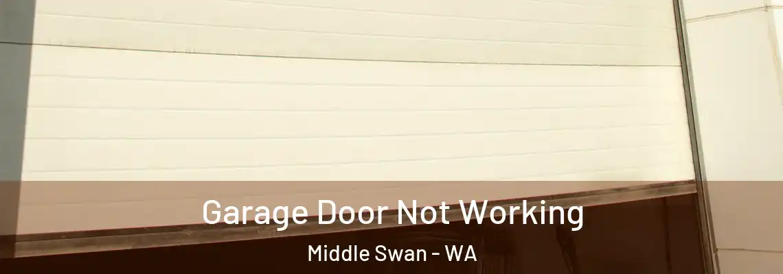 Garage Door Not Working Middle Swan - WA