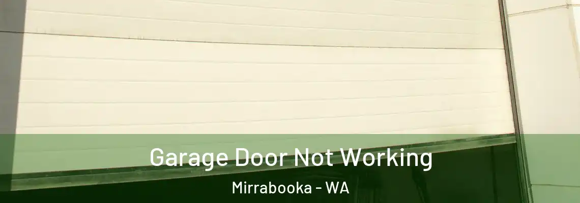 Garage Door Not Working Mirrabooka - WA